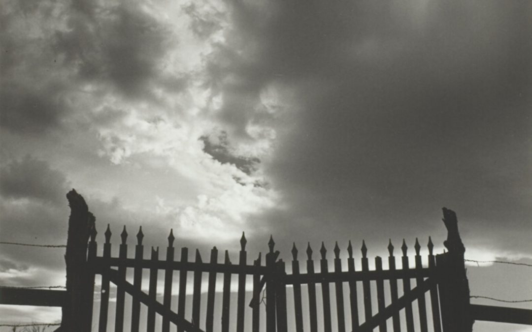 The Little Girl In Grave 1565