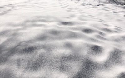 A Gathering of Lights